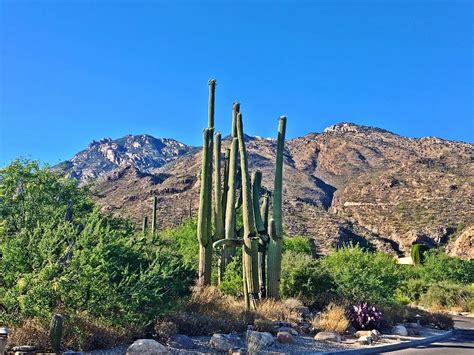 affordable places to winter in phoenix area